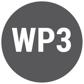 WP3 WP3